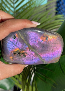 Electric Purple Flash Labradorite Freeform