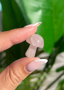 Mini Crystal Mushroom