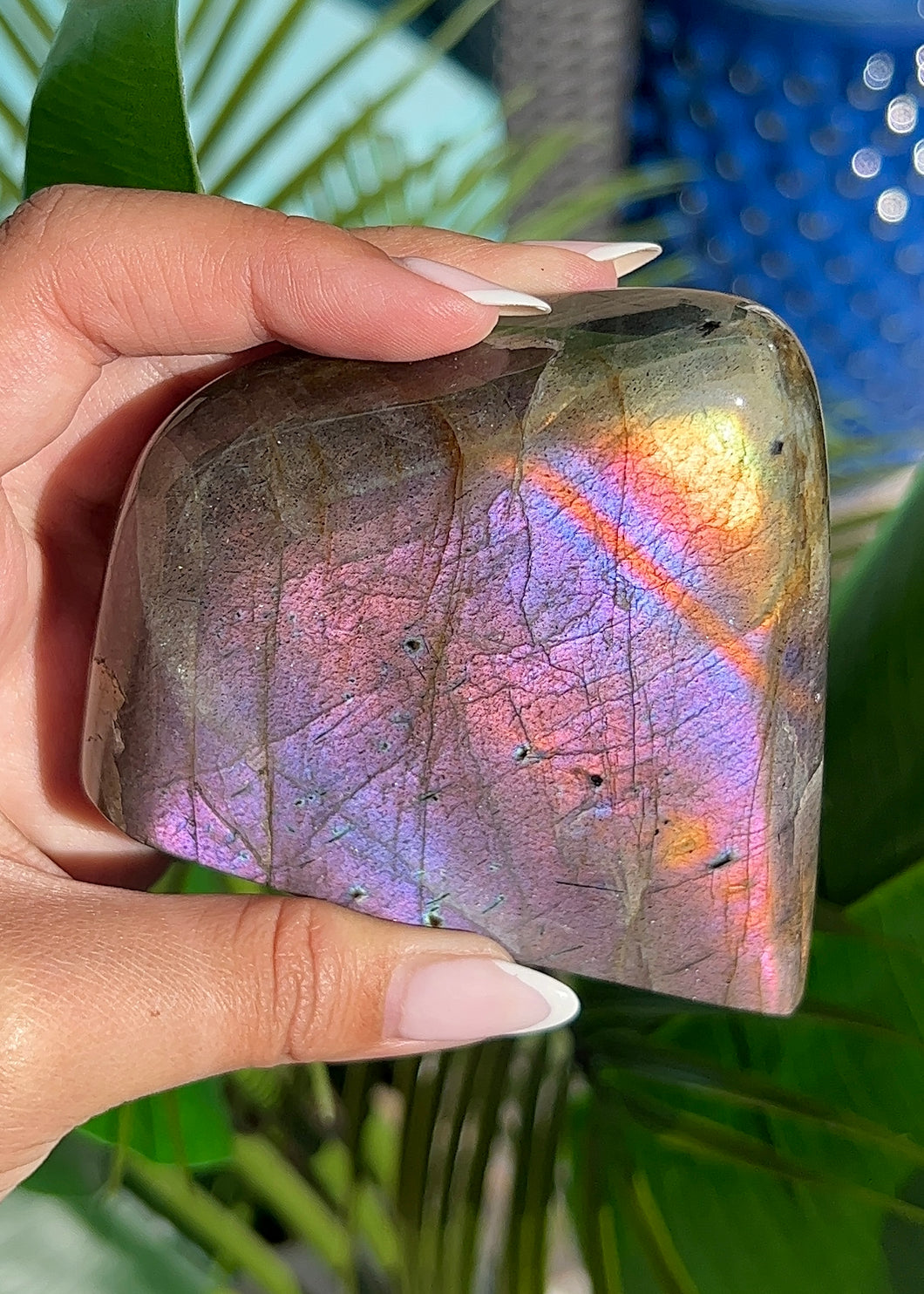 Purple Flash Labradorite Freeform