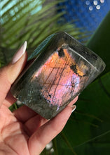 将图片加载到图库查看器，Sunset Flash Labradorite Freeform
