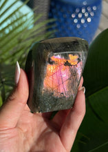 将图片加载到图库查看器，Sunset Flash Labradorite Freeform
