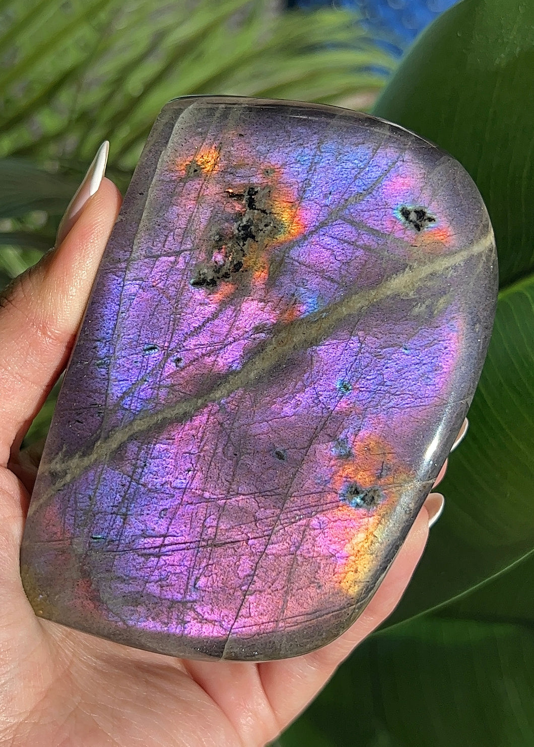 Electric Purple Flash Labradorite Freeform