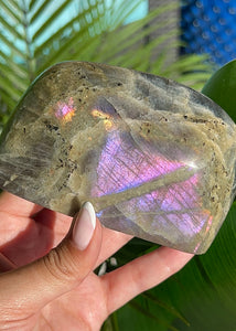 Electric Purple Flash Labradorite Freeform