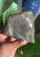 在图库查看器中加载和播放视频，Purple Flash Labradorite Freeform
