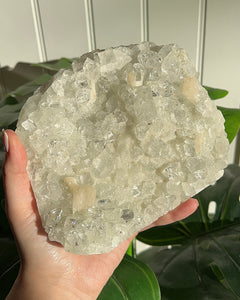 Apophyllite