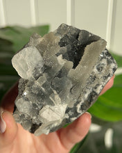 将图片加载到图库查看器，Dark Apophyllite w Calcite
