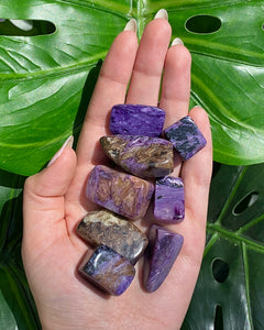 (1) Charoite Tumble