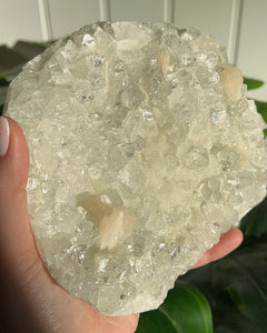 Apophyllite