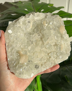 Apophyllite