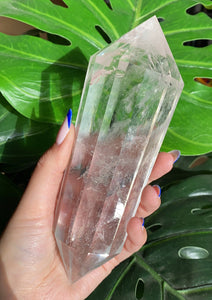 XL Clear Quartz Vogel