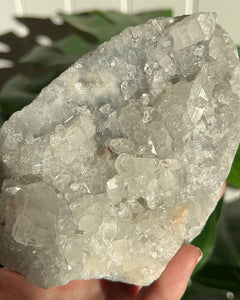 Apophyllite