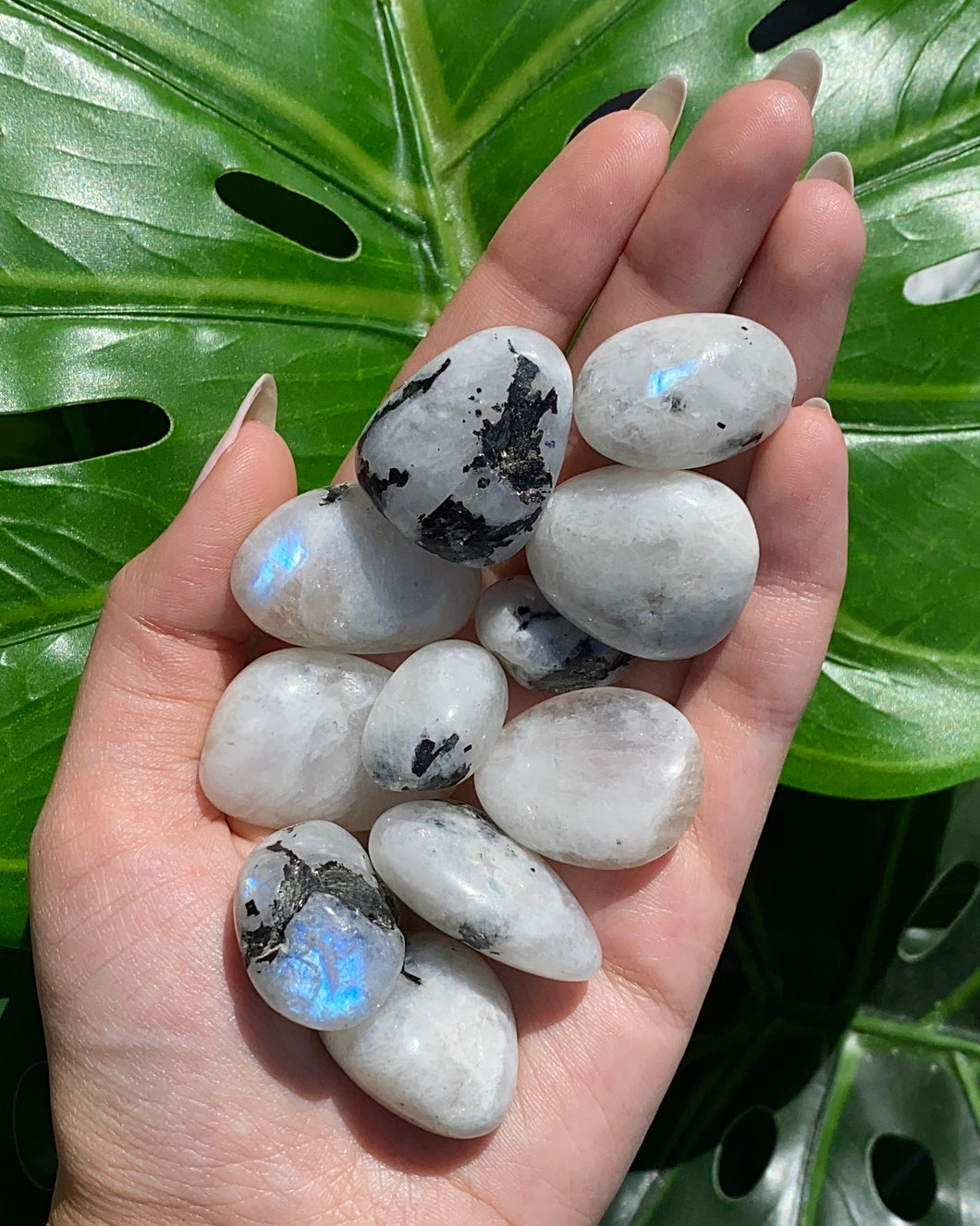 (1) Rainbow Moonstone Tumble