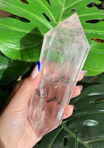 XL Clear Quartz Vogel