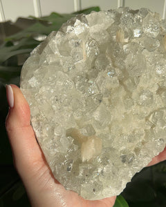 Apophyllite