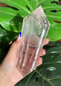 XL Clear Quartz Vogel