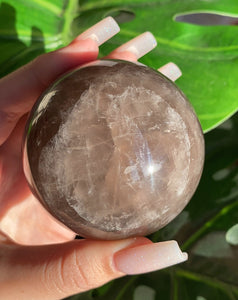 RARE Star Black Rose Quartz Sphere