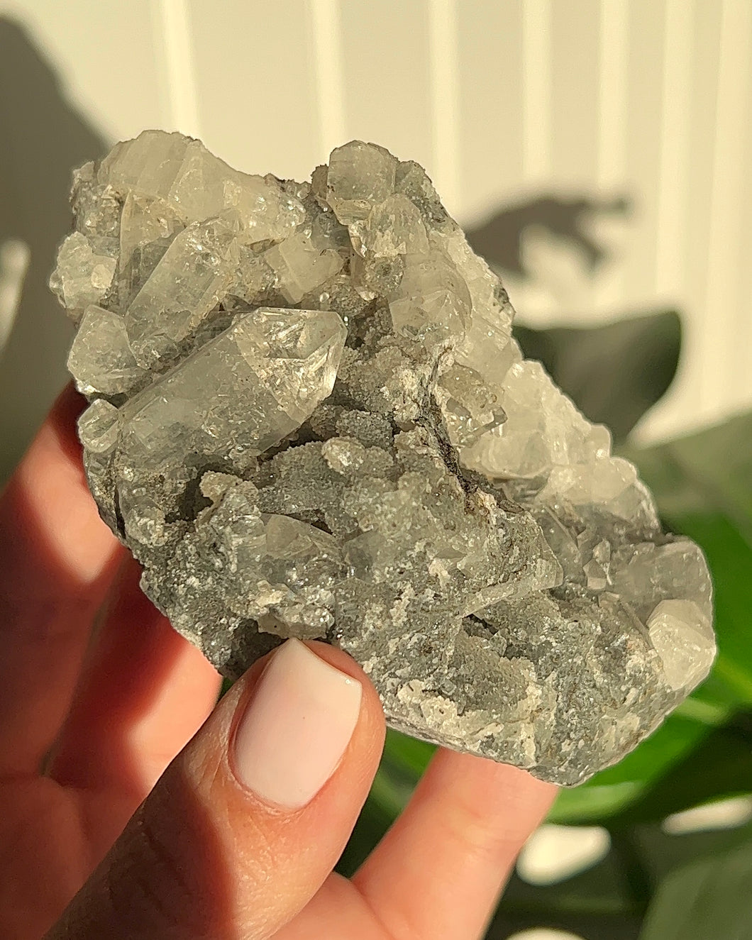 Apophyllite