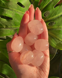 (1) Rose Quartz Tumble