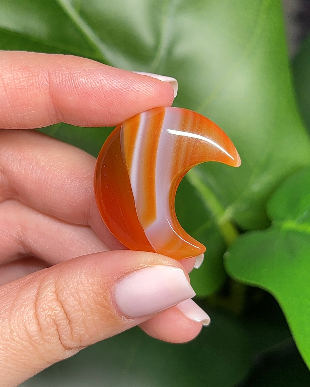 Banded Carnelian Moon