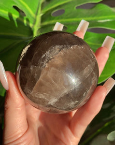 RARE Star Black Rose Quartz Sphere